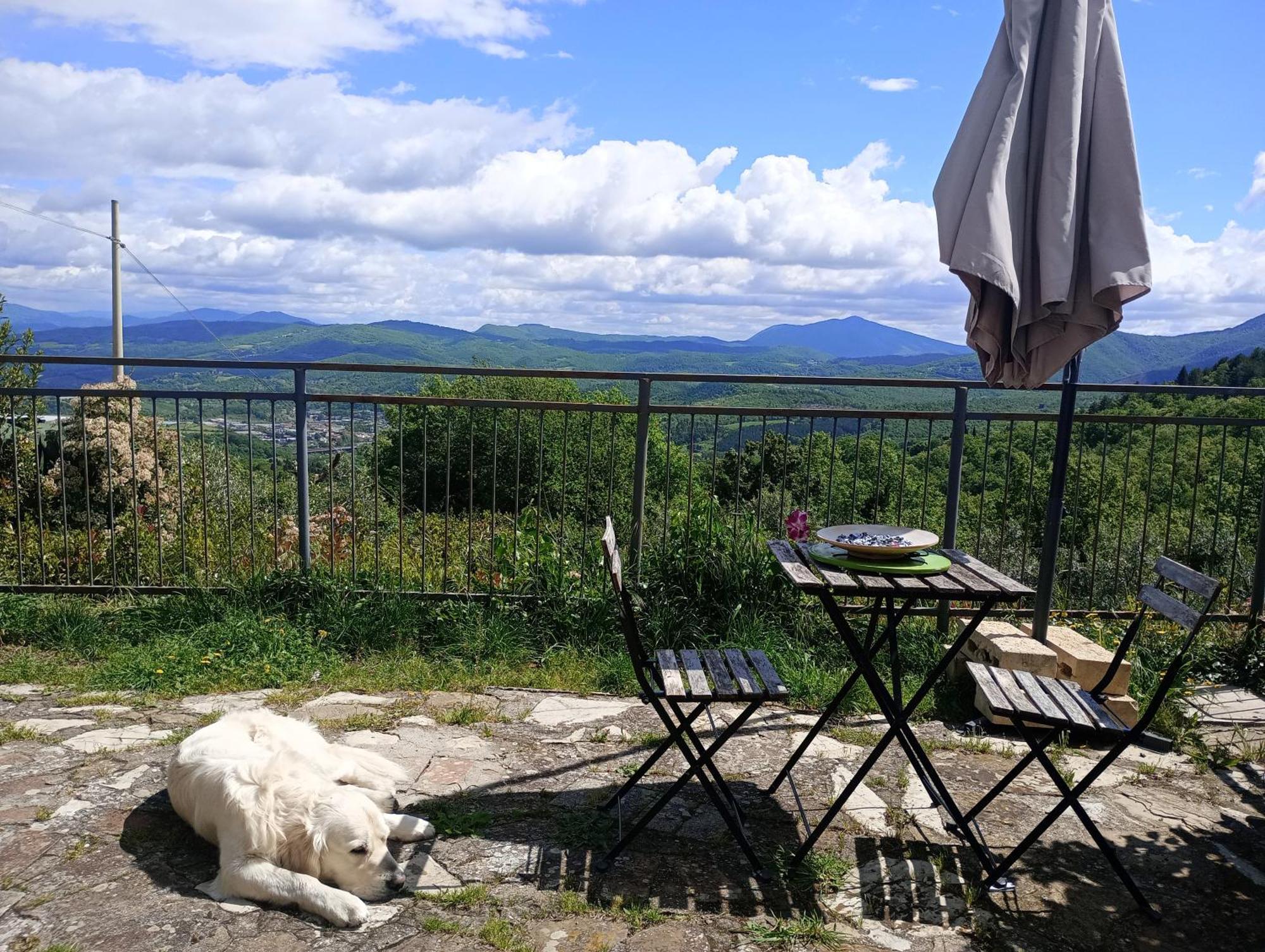 Casetta Nel Podere Di Massi Barberino di Mugello Dış mekan fotoğraf