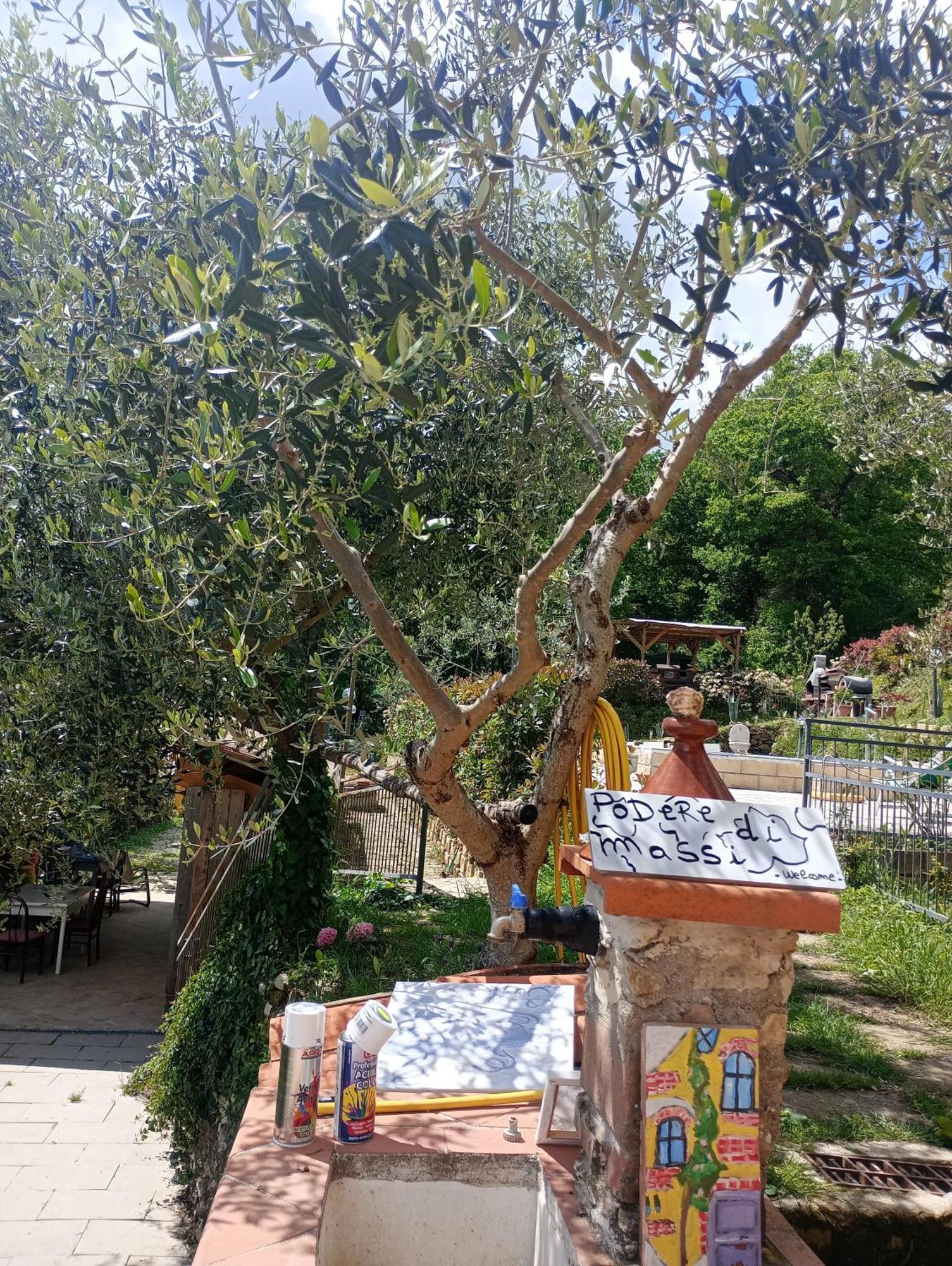 Casetta Nel Podere Di Massi Barberino di Mugello Dış mekan fotoğraf